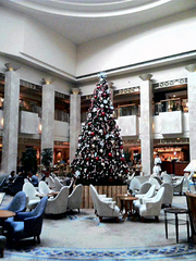 ちょっと早めのクリスマスツリー